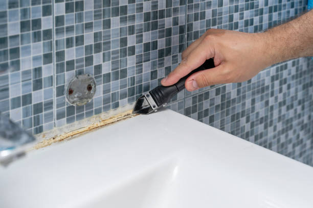 Best Emergency Mold Remediation in Pine Lakes, FL